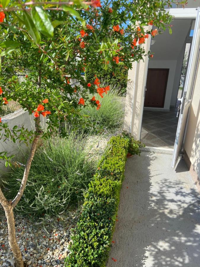 Apartman Danijela ヴォディツェ エクステリア 写真